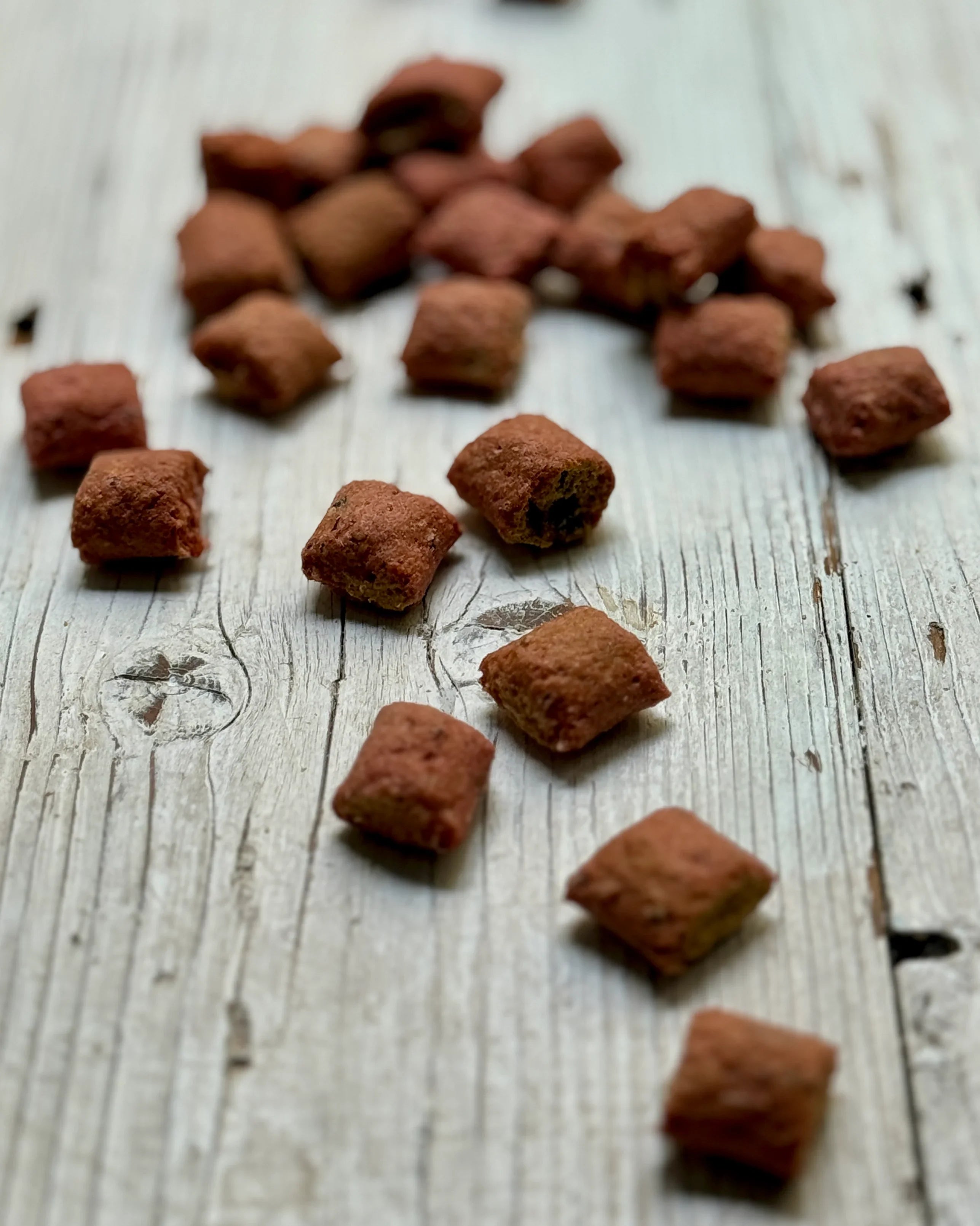 How to Use Treats Effectively in Dog Training