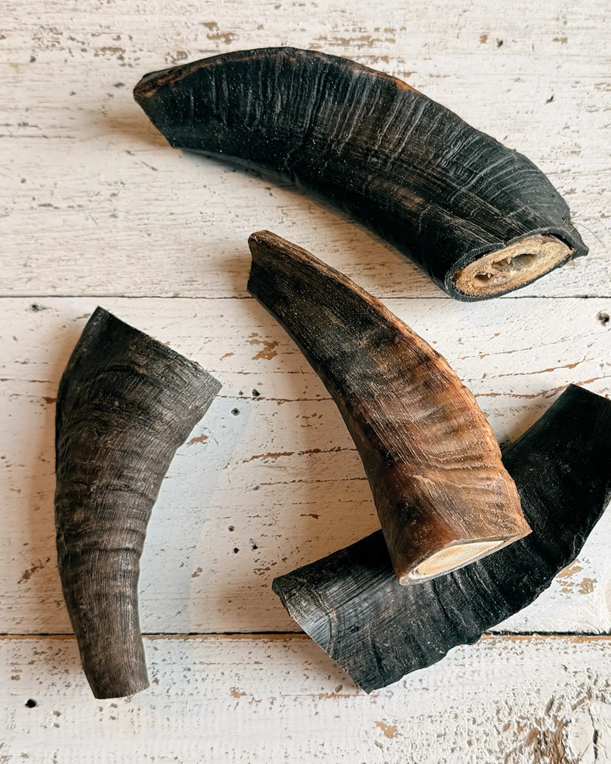 How Long Should a Dog Chew Last? A Guide by Breed & Chew Type