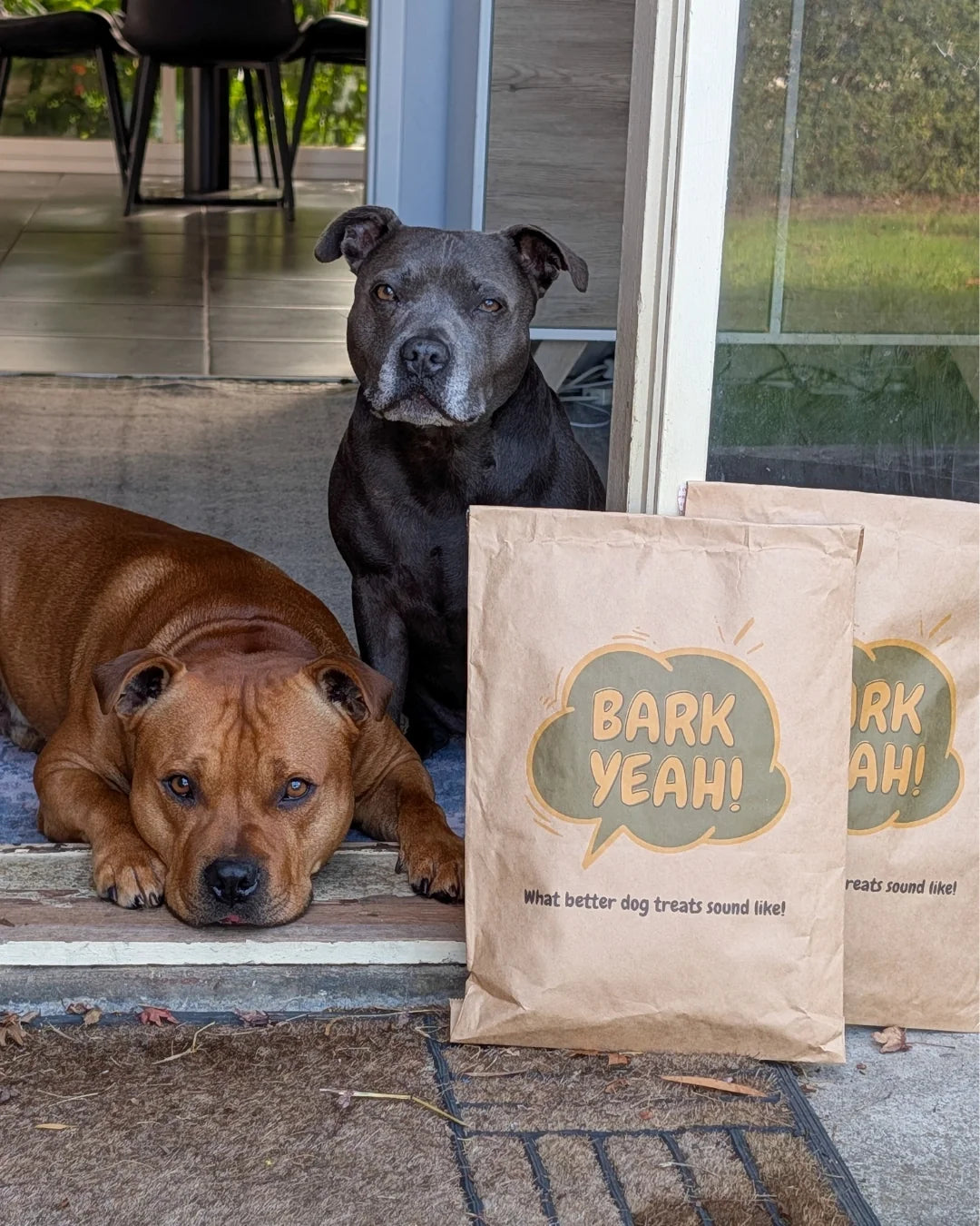 Bark Yeah's Express Post Delivery Promise