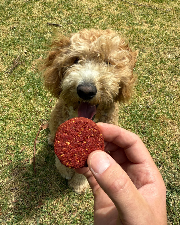 Natural Bark Yeah BetterBite Dog Treats being offered to a happy dog outdoors.