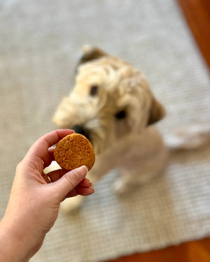 Hand holding a Natural Calming Dog Biscuit with a dog eagerly waiting in the background.