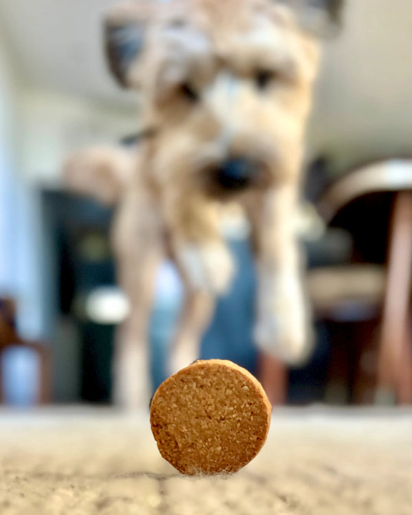 Bark Yeah Dog Treats Peanut Butter Biscuits
