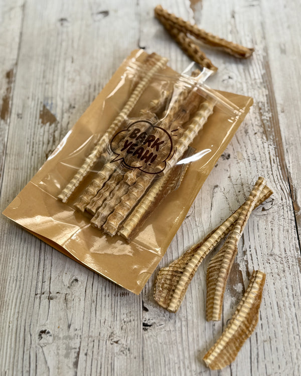 Bark Yeah Shark Cartilage Dog Treat