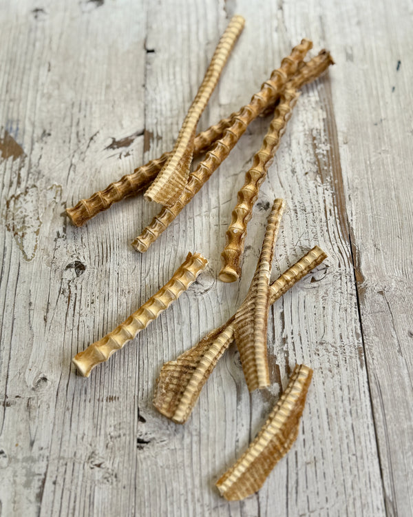 Bark Yeah Shark Cartilage Dog Treats