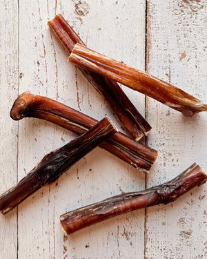 bark yeah natural bully stick dog chews thicker chew