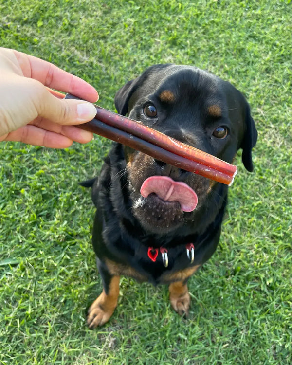 bark yeah natural bully stick dog chews thicker photo