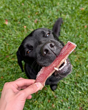 bark yeah natural bully stick dog chews thinner photo