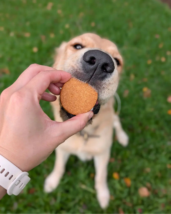 Natural Calming Dog Biscuits