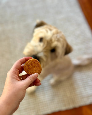 Bark Yeah natural calming dog biscuits treats