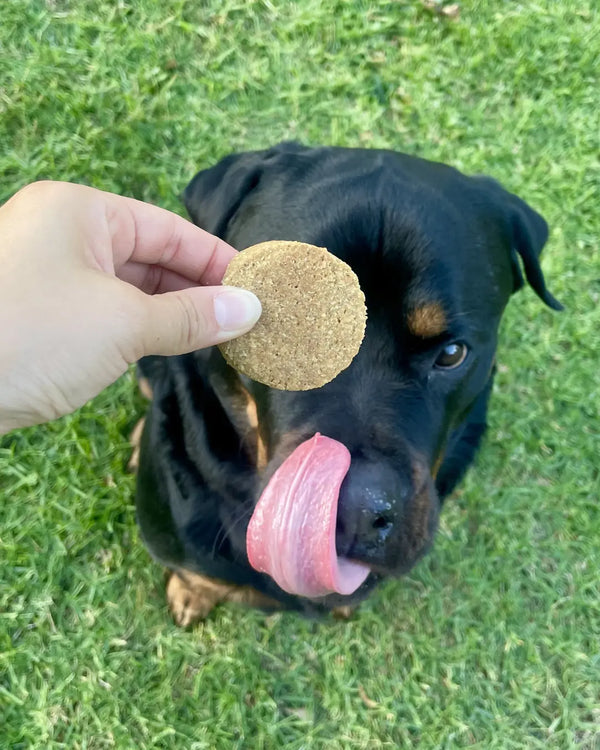 Natural Healthy Gut Dog Biscuits