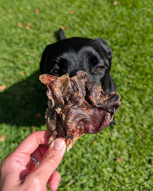 Natural Kangaroo Tendon Dog Chews