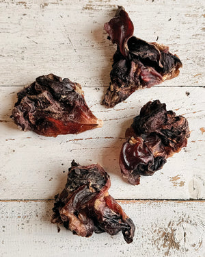 Natural Kangaroo Tendon Dog Chews