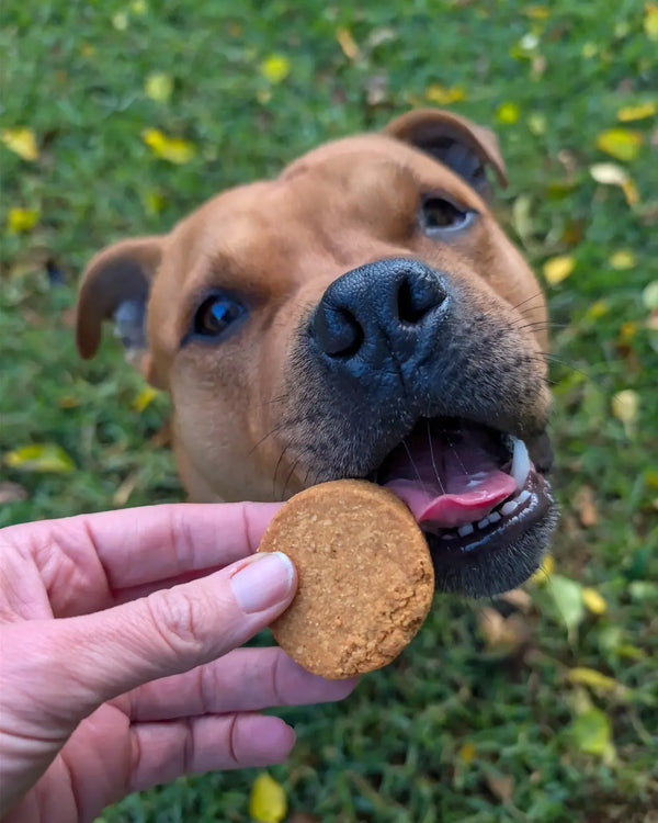 Natural Peanut Butter Dog Biscuits
