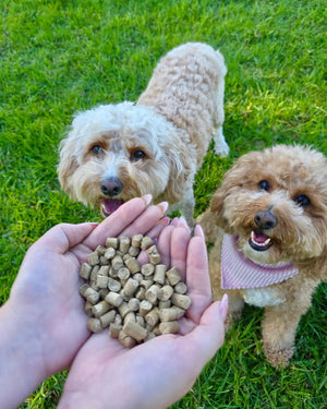 Natural Sardine Training Treats for Dogs