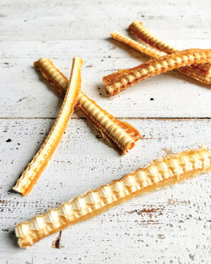 bark yeah natural shark cartilage dog chews thinner treat