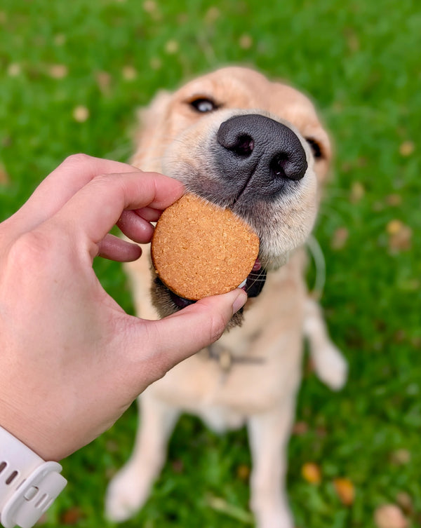 Bark Yeah premium peanut butter dog biscuits natural treats