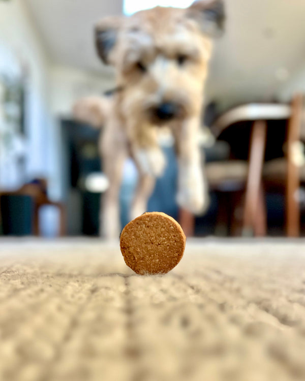 CALMING BISCUITS