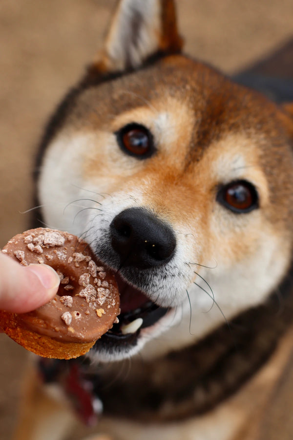 CAROB (NOT CHOC) DONUTS