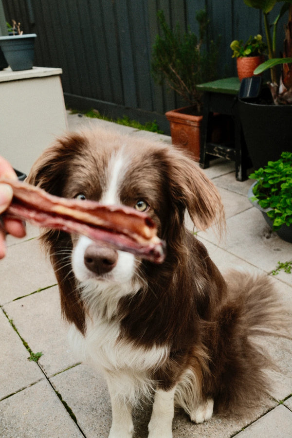 CHICKEN BREAST JERKY