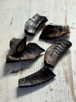 GOAT HORNS